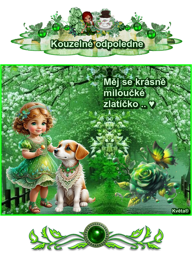 oie 1TTGtmdiQed7