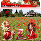 oie_71WnOSw5h1yC
