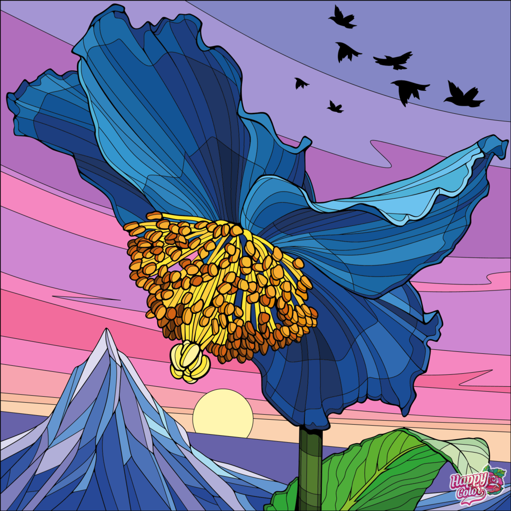 HappyColor_32932.png