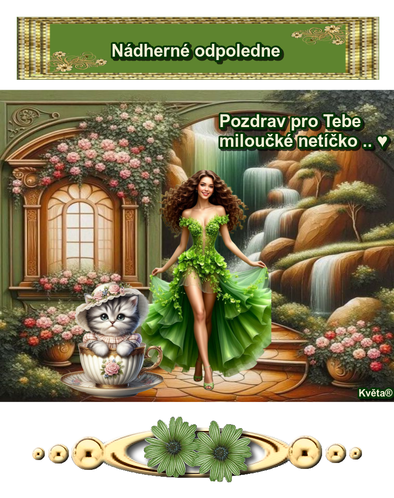 oie_bVX2krr0269E.png