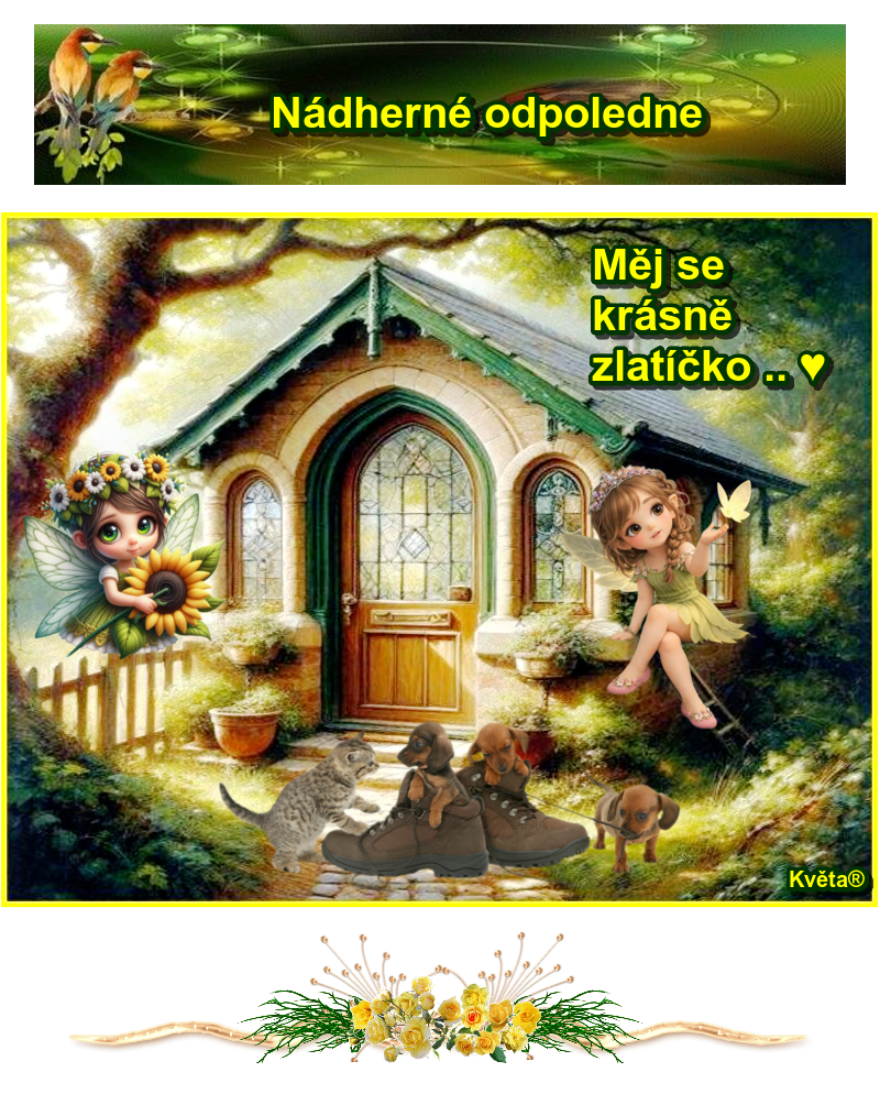 oie_lcCV1hoIuHix.png